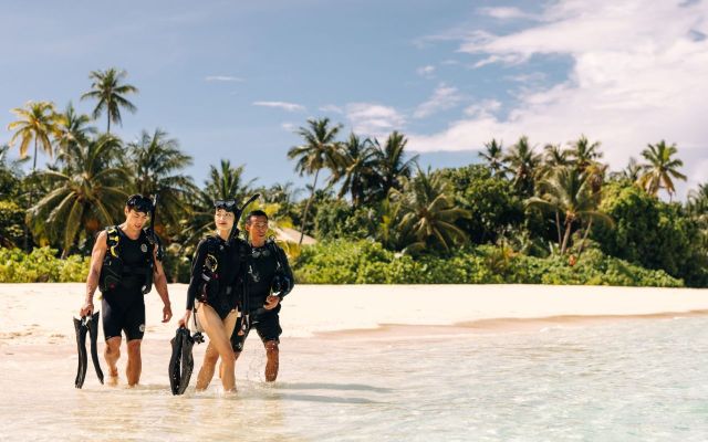 Park Hyatt Maldives HadahaaOver view