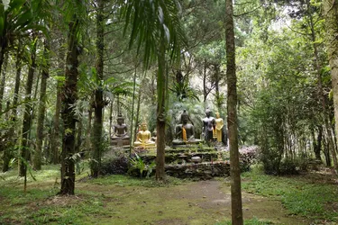 รูปภาพของดอยช้างวิว