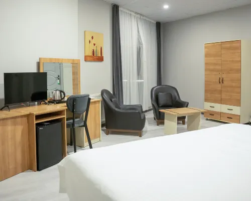 Altinova Hotel Sakarya 薩卡里亞酒店
