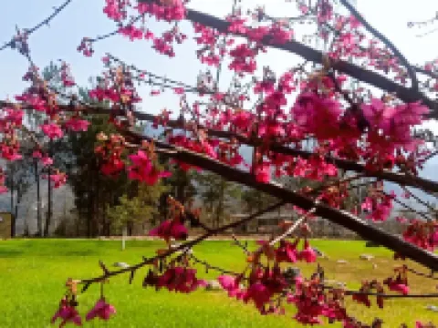 花漾河畔度假營地