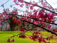 Bloom Farm Campground