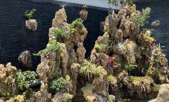 Mianning Dousiang Farm