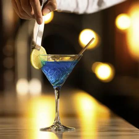 Hôtel Mercure Lyon Centre Saxe Lafayette
