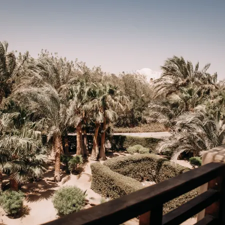 Cook's Club El Gouna