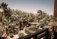 Cook's Club El Gouna