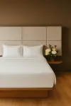 ORANGE CRYSTAL PHOENIX HOTEL (Bac Ninh, Vietnam) - parkir