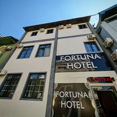 Fortuna Hotel