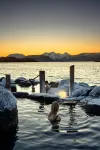 Hvammsvík Nature Resort - Hot Springs