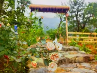 Nanshan Homestay