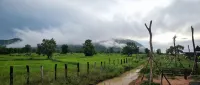 Cow Barn Cafe and Lodge Preah Vihear - breakfast