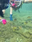 オーシャンビュー博海温泉ホテル 温泉と絶景の宿 - ビーチサイド