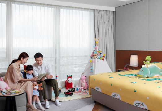 Dynamic Court Over view