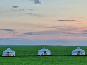 Top 12 Cultural Hotels in Inner Mongolia