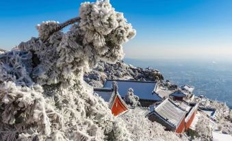 YOUNG Yang Xiaoshe Homestay(Jinshan Road Store)