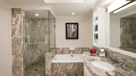 The Ritz-Carlton New York, Central Park