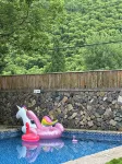 La Petronilla Boutique Hotel Moganshan - مسبح