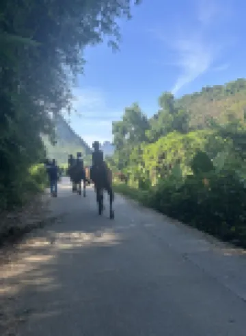 山外人間田園民宿（陽朔興坪二十元風景區店）