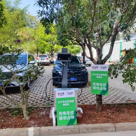Green Alliance (Dali Yongpingbo South Road Shop)