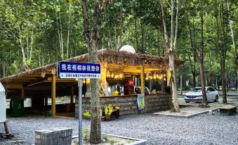 Wutong Forest Campground