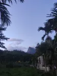Yisheng Chashe Homestay (Jianfengling) - Mountain view