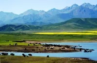 Shandan Expo International Hotel Hotels in Shandan