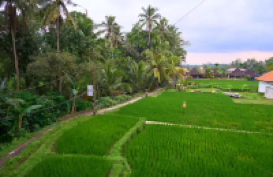 Hening Suite Ubud Hotels in der Nähe von Pura Telaga Waja Tegalalang