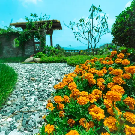 Shanjintang Hotel (Wang Xian Gu Scenic Area)