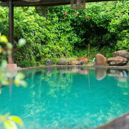 Kedu International Hot Spring Hotel