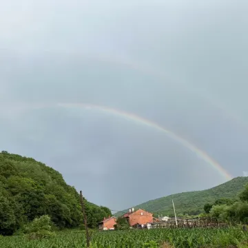 Huzi No.1 Party House