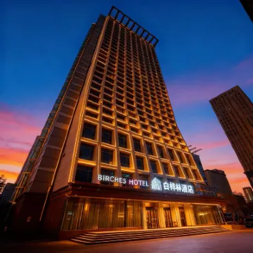 Birches Hotel (Youth Street, Shenyang Conservatory of Music Branch Hospital) โรงแรมใกล้พื้นที่หนานหู
