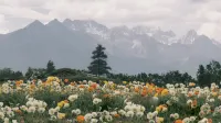 麓野白沙Bahada日照金山・湯池・雪山リゾート - マウンテンビュー