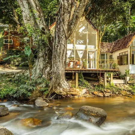 The ForRest Peace Forest (Mae Kampong)