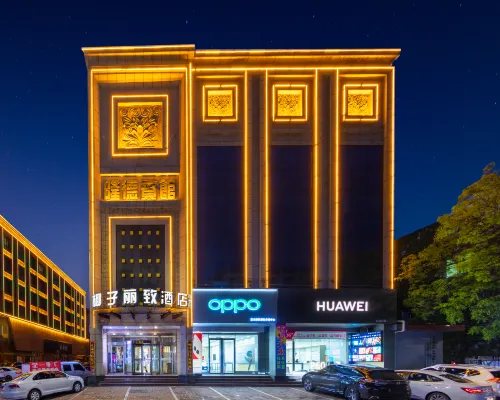 Coconut Lizhi Hotel Hotels in Qi County
