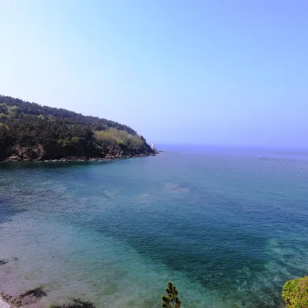 Island Art Villa Homestay