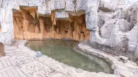 CLIFF HOT SPRING HOTEL - Hot Springs