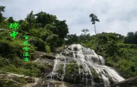 Ruiting Hotel