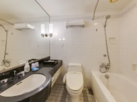 ホテル日航熊本 熊本市のホテル