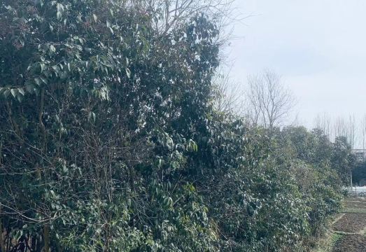 허페이 핀샹 호텔