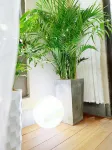 Wolong Vacation Apartment (Wuyishan Sangu Resort Area) - 2-Star