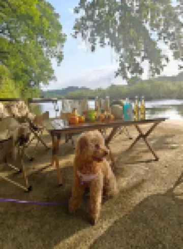 Xiangyu · Old Camphor Tree Homestay