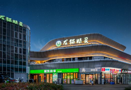 룽마오징링 객실