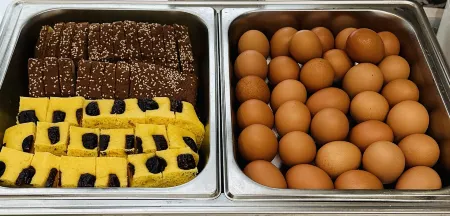 Ejina Banner Desert Hotel