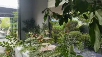 Yuezhi Yunshen Resort Hotel