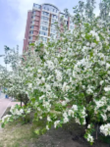 楓橋夜泊智能民宿