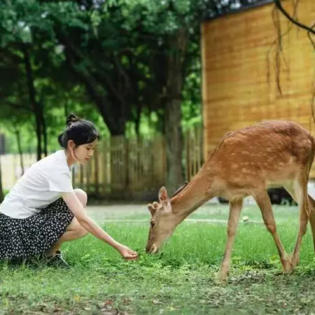 Huang Guo Shu Shan Yue Ji Mu Ye Fairy Tale Homestay