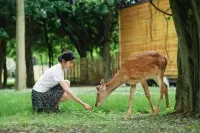 Huang Guo Shu Shan Yue Ji Mu Ye Fairy Tale Homestay - Parvekkeita