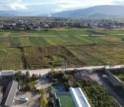 In-Ye Spring Homestay - غرفة مطلة على الجبل