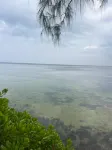 Le Chateau Bleu Hotels in Anse aux Pins