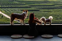 Huizhou Slow Xianglanyuan Tangquan Holiday Homestay Hôtels à : Boluo