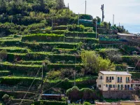 Macaia Apartment with AC Hotels in Vernazza